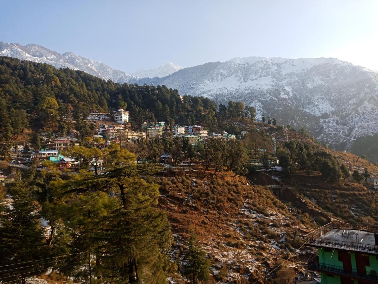 Hotel Pine Spring 다람샬라 외부 사진