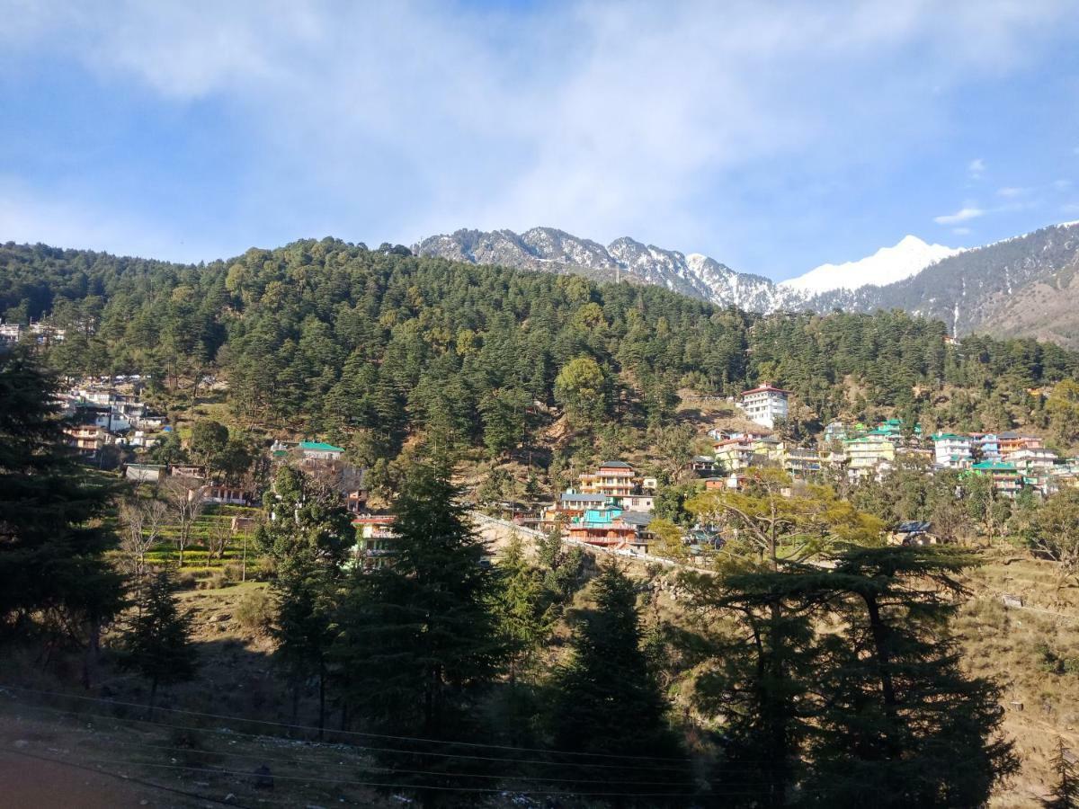 Hotel Pine Spring 다람샬라 외부 사진