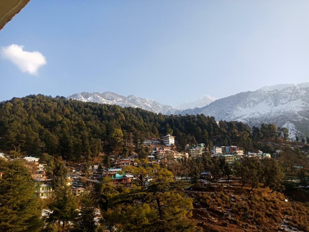 Hotel Pine Spring 다람샬라 외부 사진