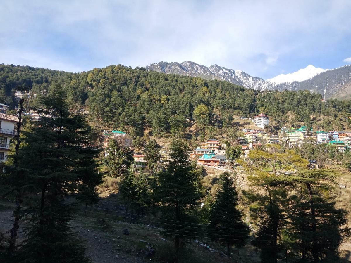 Hotel Pine Spring 다람샬라 외부 사진