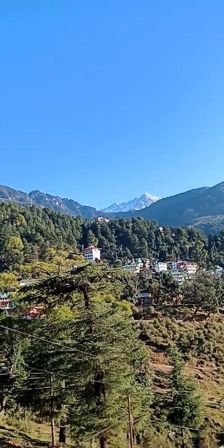 Hotel Pine Spring 다람샬라 외부 사진